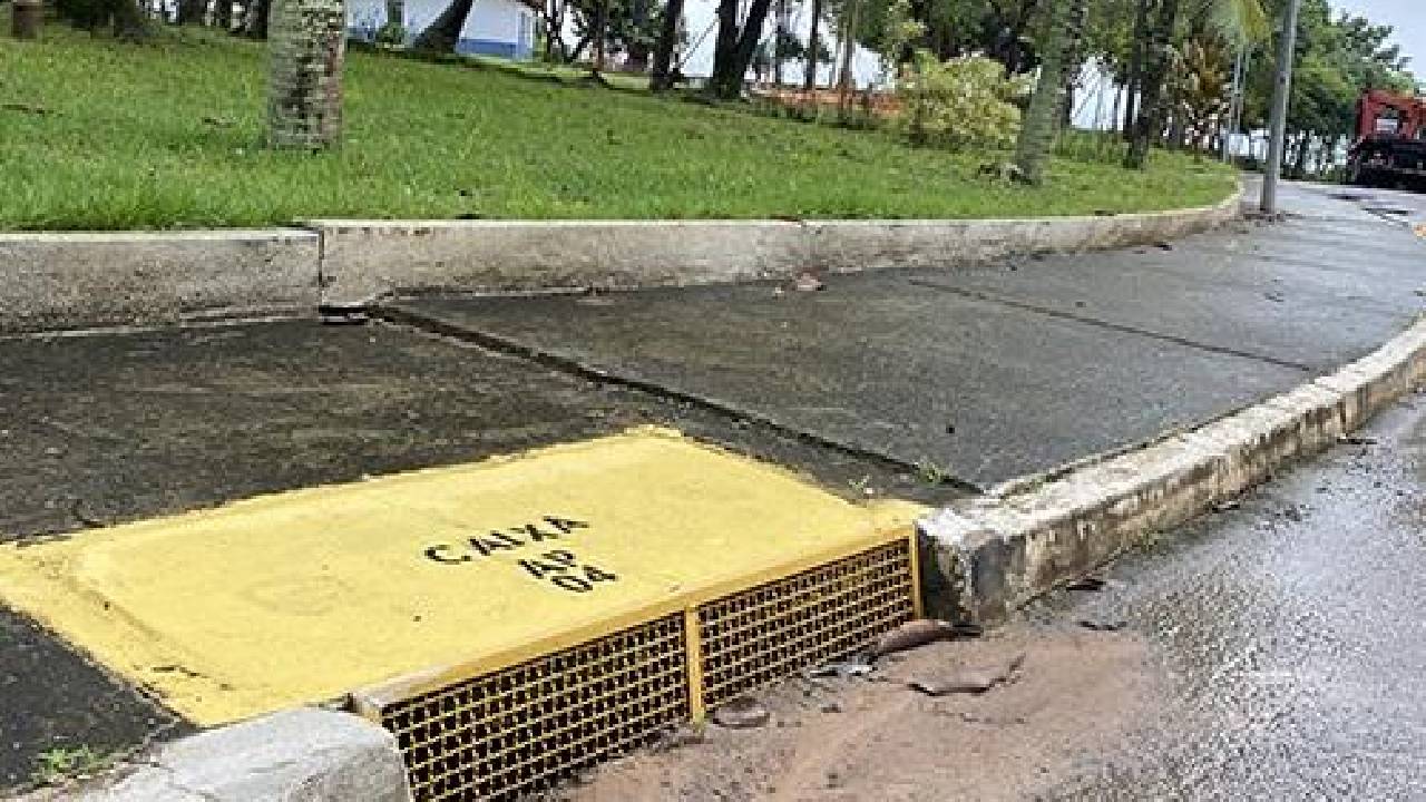 Dia Mundial do Meio Ambiente requer vontade política e pressão popular