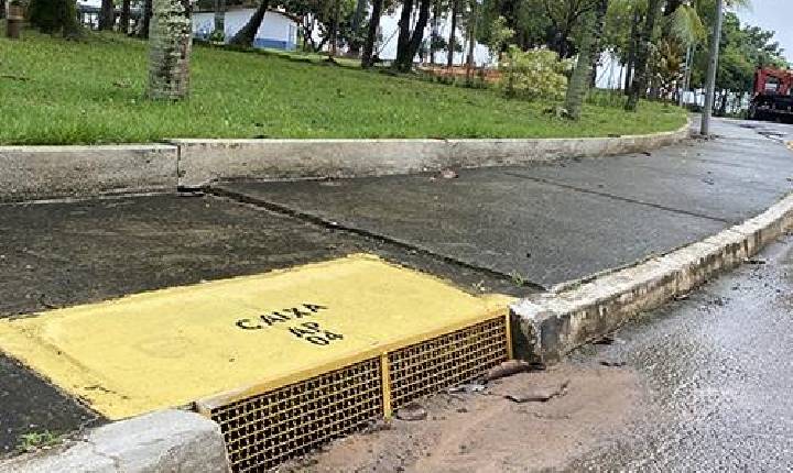 Dia Mundial do Meio Ambiente requer vontade política e pressão popular
