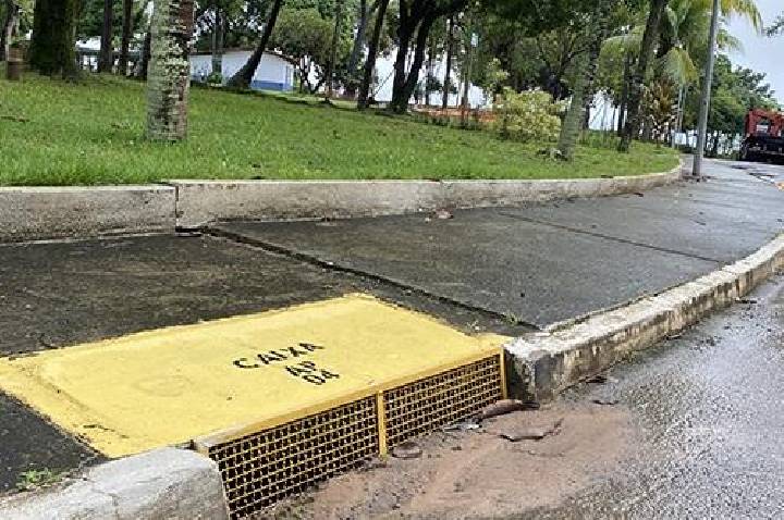 Dia Mundial do Meio Ambiente requer vontade política e pressão popular