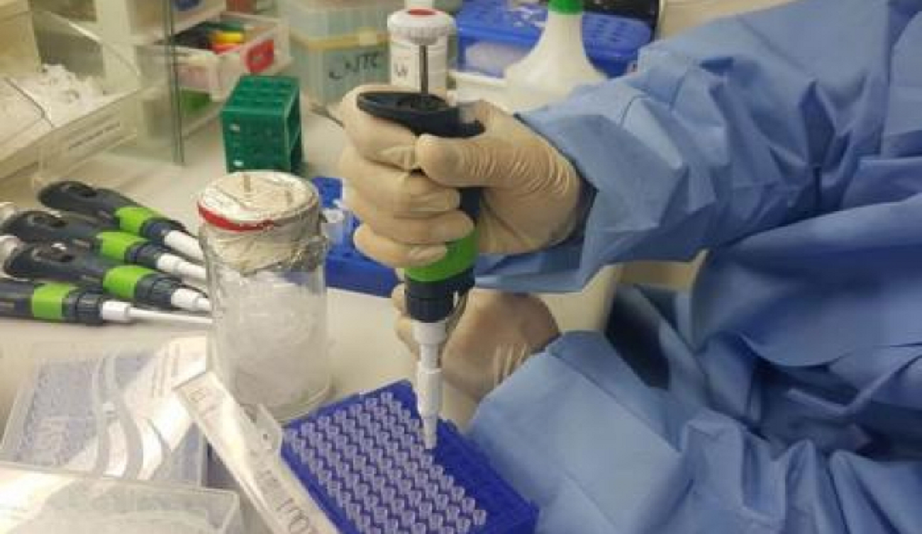 Mais de 60 mil brasileiros morreram de Covid-19 em apenas três meses