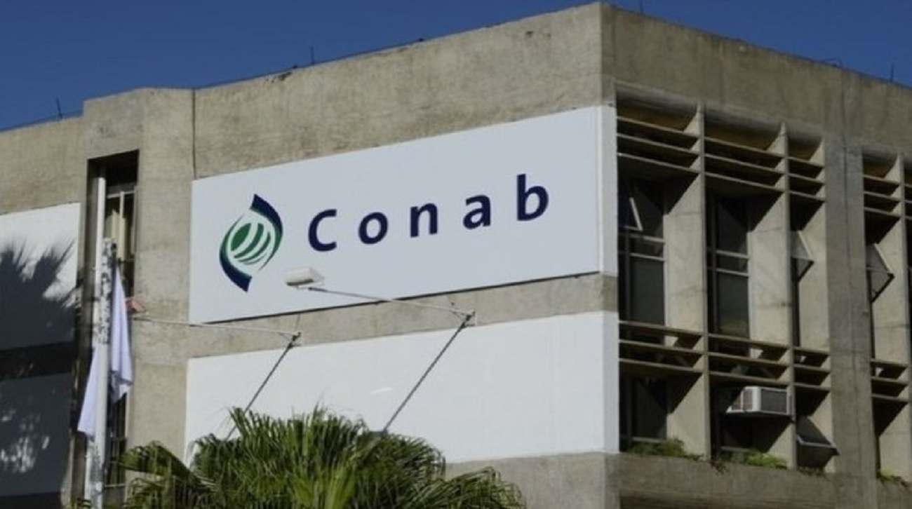 TST reafirma legitimidade da FENADSEF para representar trabalhadores da CONAB