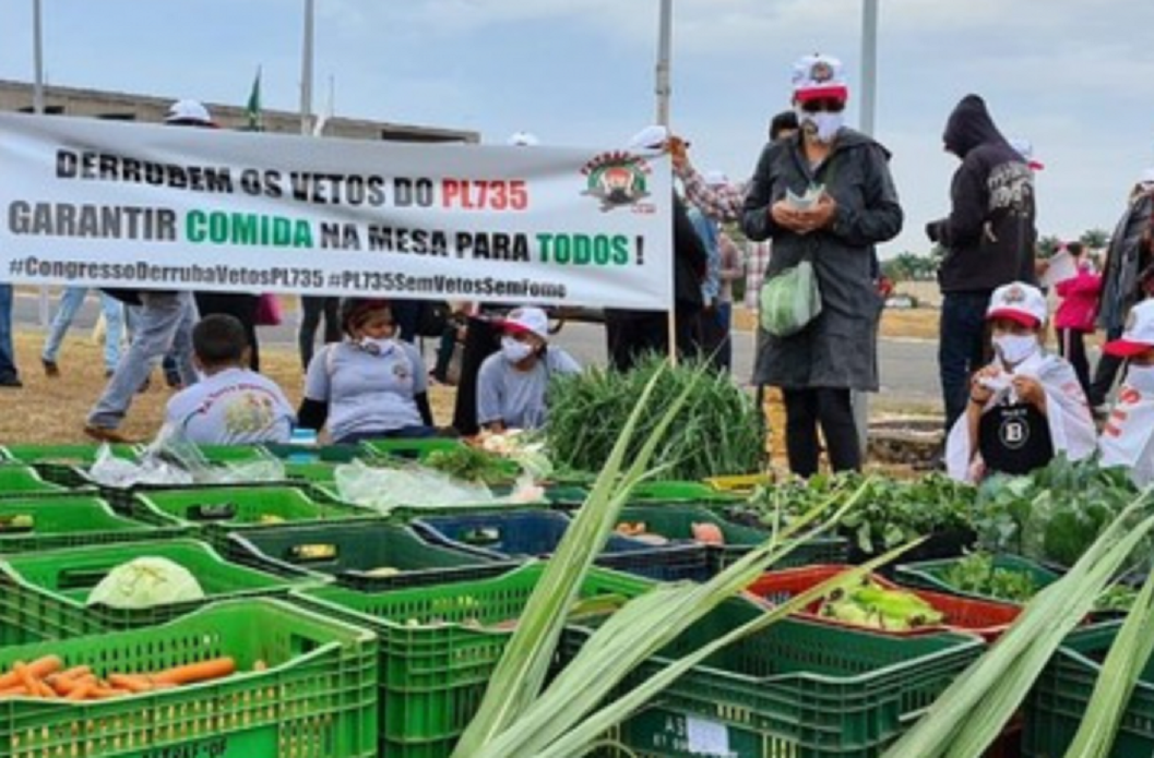 Agricultura familiar é tratada com descaso por Bolsonaro e Alcolumbre, afirma Fetraf