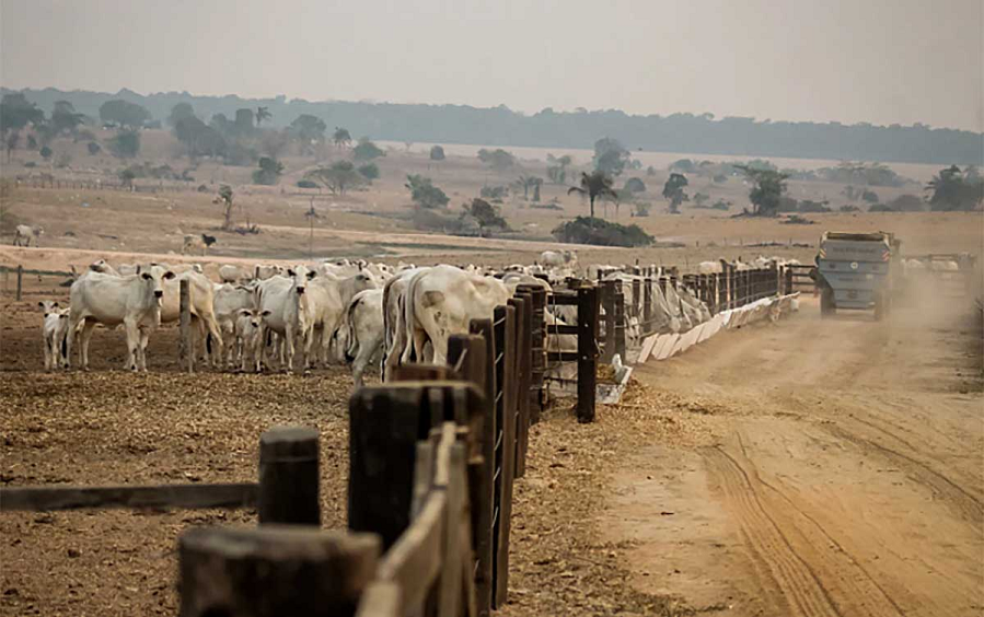 Ruralistas se articulam para obter perdão bilionário das dívidas do Funrural