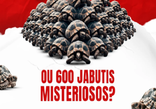 ASSISTENTES TÉCNICOS DE JUÍZES (JABUTIS DE ESTIMAÇÃO) DEVEM GERAR IMPACTO FINANCEIRO DE MAIS DE R$ 60 MILHÕES AOS COFRES DO ESTADO