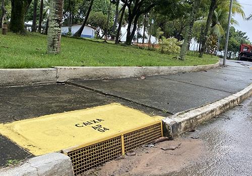 Dia Mundial do Meio Ambiente requer vontade política e pressão popular